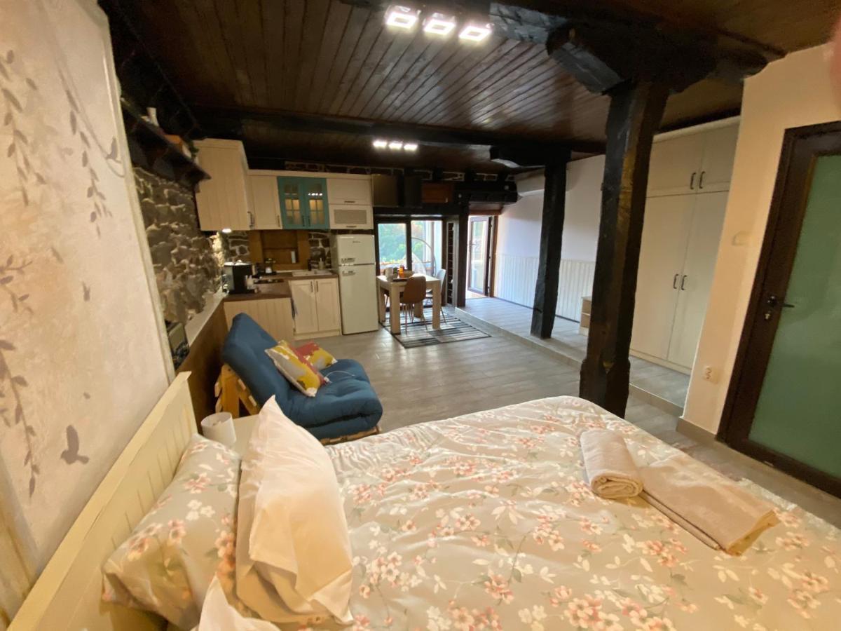 Studio Spring Villa Veliko Tarnovo Exterior photo